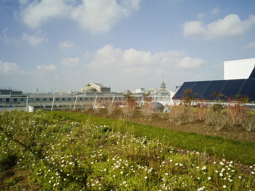 th_22ec96aa0070d0ed83a109d6a414bd54_pca_cloud_biotope©jpmesguencopier